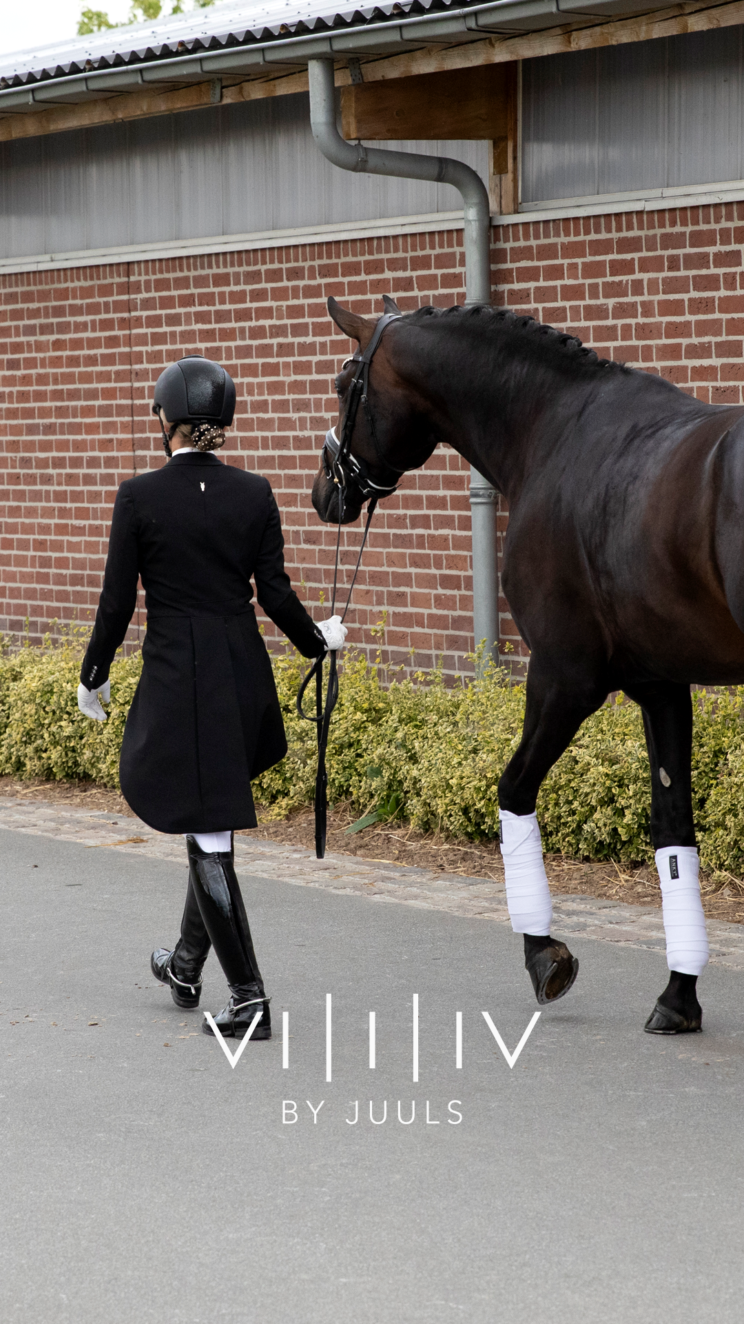 Frack - Classic Black oder Navy
