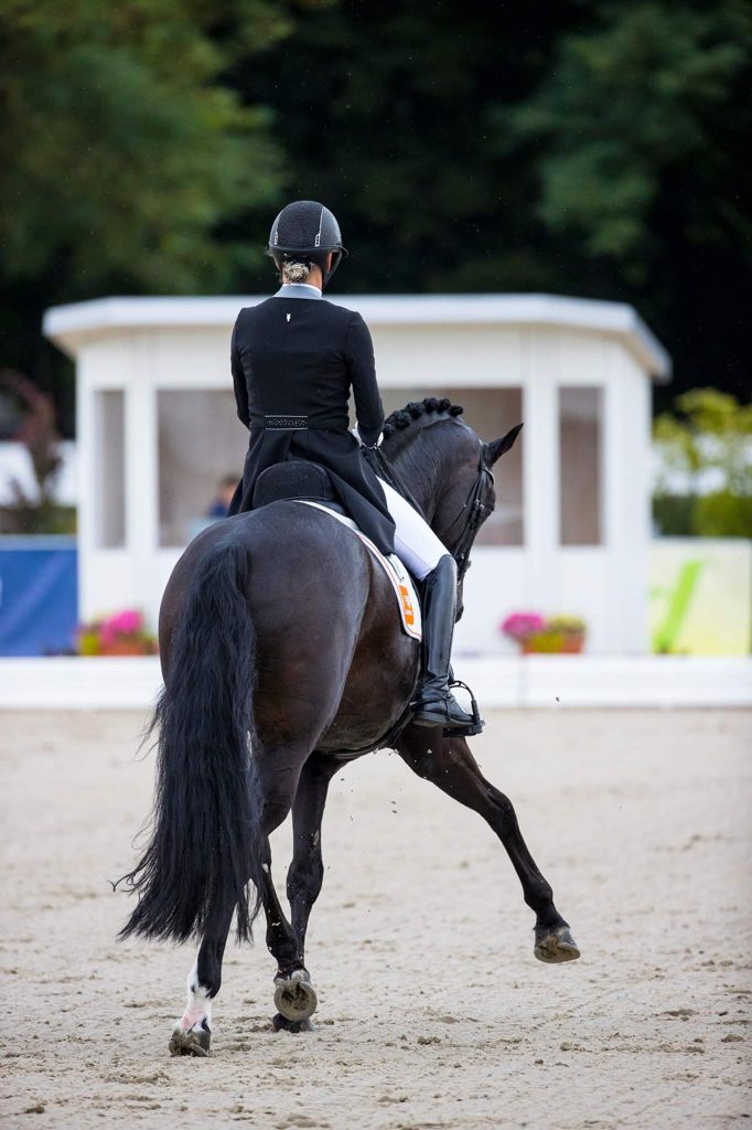 Frack - Schwarz, hellgrau